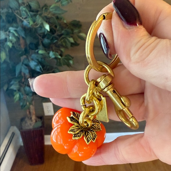 Pumpkin bag, charm key ring - Picture 3 of 3